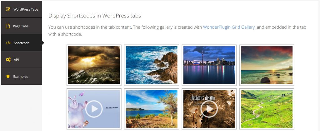 WordPress Tabs Examples | WordPress Plugin