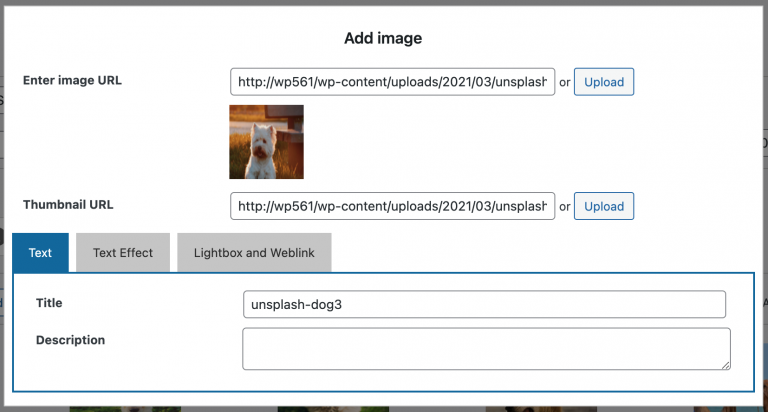 not-allowing-to-edit-images-or-add-new-images-wordpress-plugin